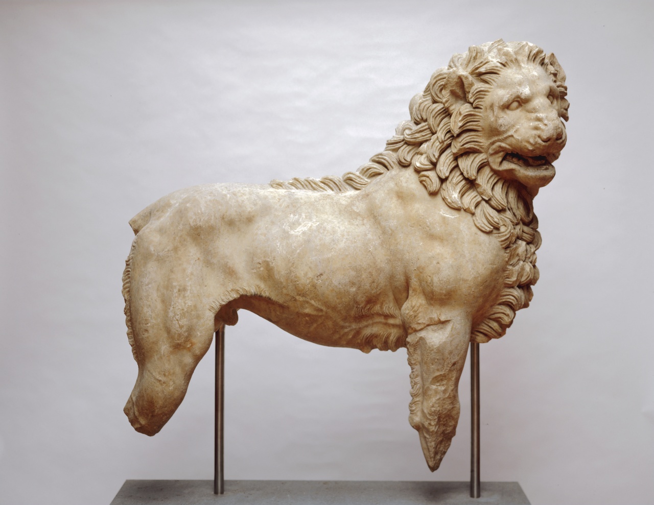 160. Lion - Classical